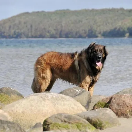 Holiday home Allegra