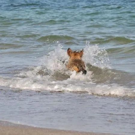 Holiday home Allegra Kobbelluck