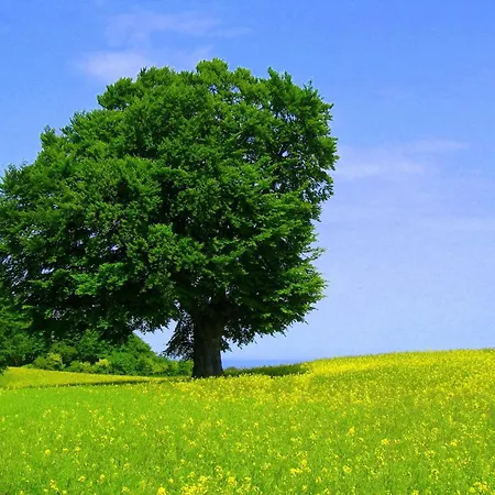 Allegra Holiday home Kobbelluck