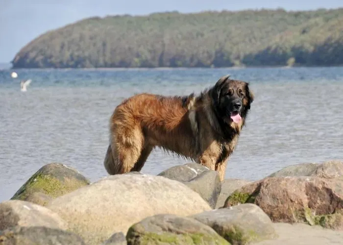 Casa vacanze Allegra