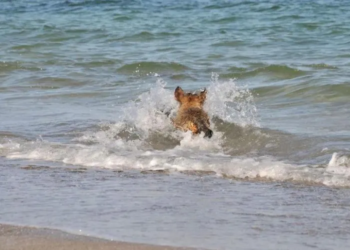 Casa vacanze Allegra Kobbelluck