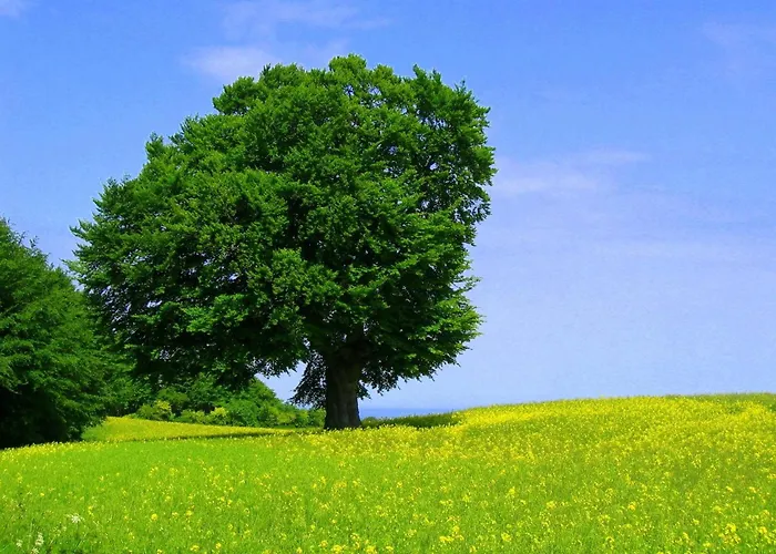 Allegra Casa vacanze Kobbelluck