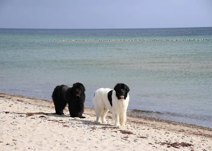 Casa vacanze Allegra Kobbelluck